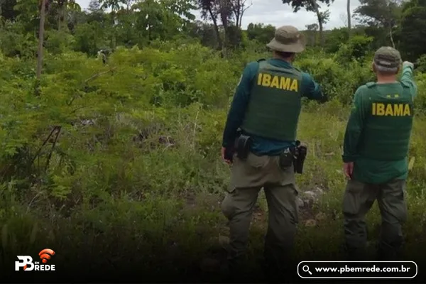 Operação identifica desmatamento ilegal e aplica mais de R$ 860 mil em multas na Paraíba