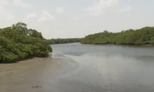Corpo de homem é encontrado em ponte às margens do rio Sanhauá, em Bayeux