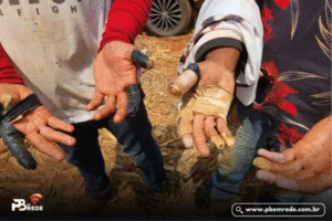 Nova ‘lista suja’ do trabalho escravo tem nomes de 19 empregadores da Paraíba