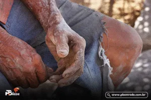 Câmara de Campina Grande Exonera Assessor Após Denúncia de Trabalho Análogo à Escravidão