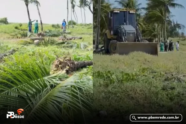Justiça Federal manda suspender obras que derrubaram coqueiros em praia de Camboinha, na Paraíba