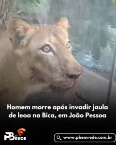 Homem morre após invadir jaula de leoa na Bica, em João Pessoa.