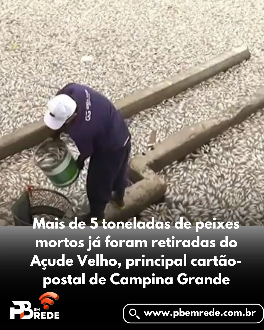 Mais de 5 toneladas de peixes mortos já foram retiradas do Açude Velho, principal cartão-postal de Campina Grande